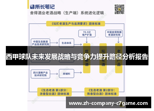 西甲球队未来发展战略与竞争力提升路径分析报告 西甲球队未来发展战略与竞争力提升路径分析报告
