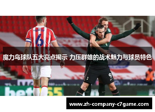 魔力鸟球队五大亮点揭示 力压群雄的战术魅力与球员特色